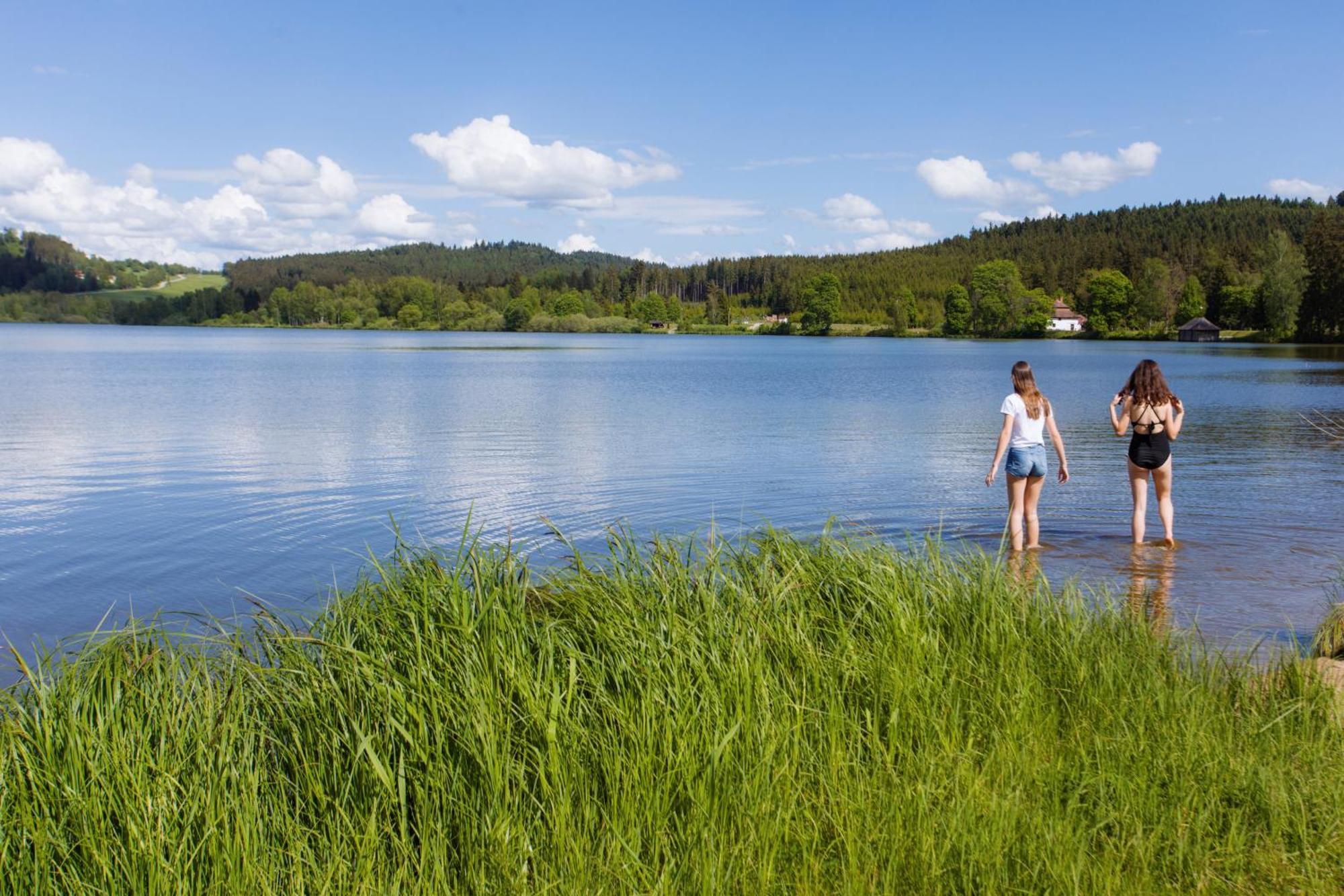 Resort Olsina Horní Planá المظهر الخارجي الصورة