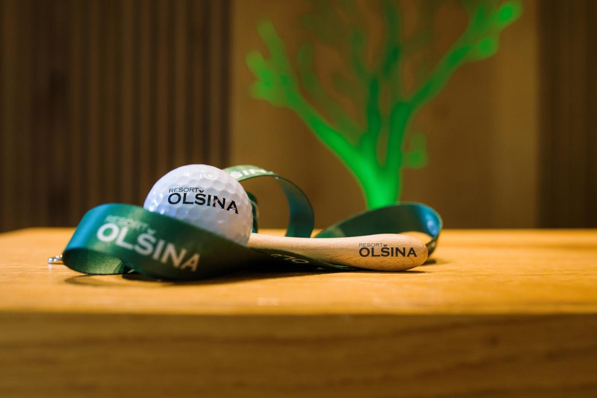 Resort Olsina Horní Planá المظهر الخارجي الصورة