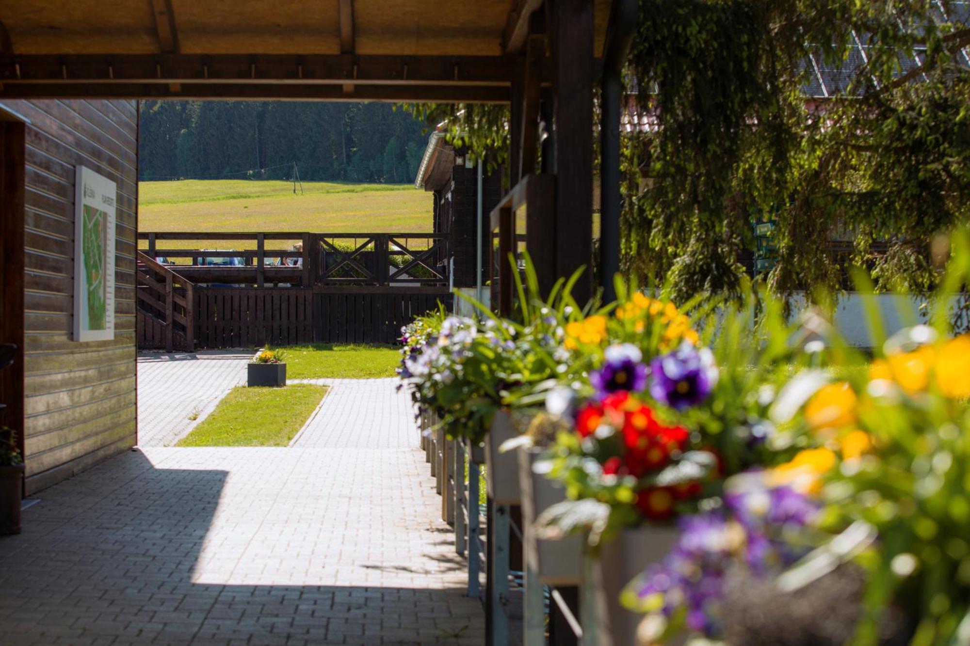 Resort Olsina Horní Planá المظهر الخارجي الصورة
