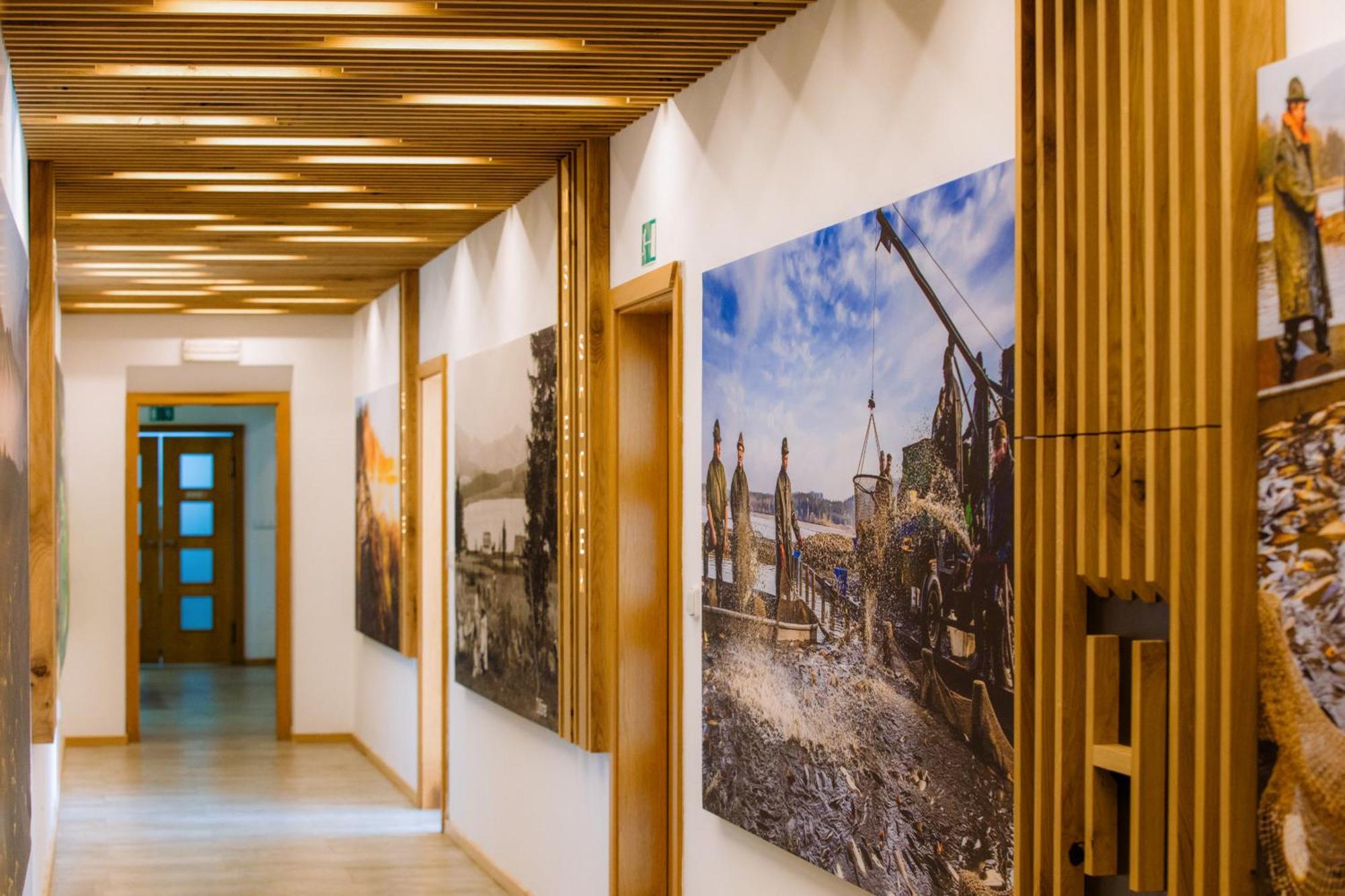 Resort Olsina Horní Planá المظهر الخارجي الصورة